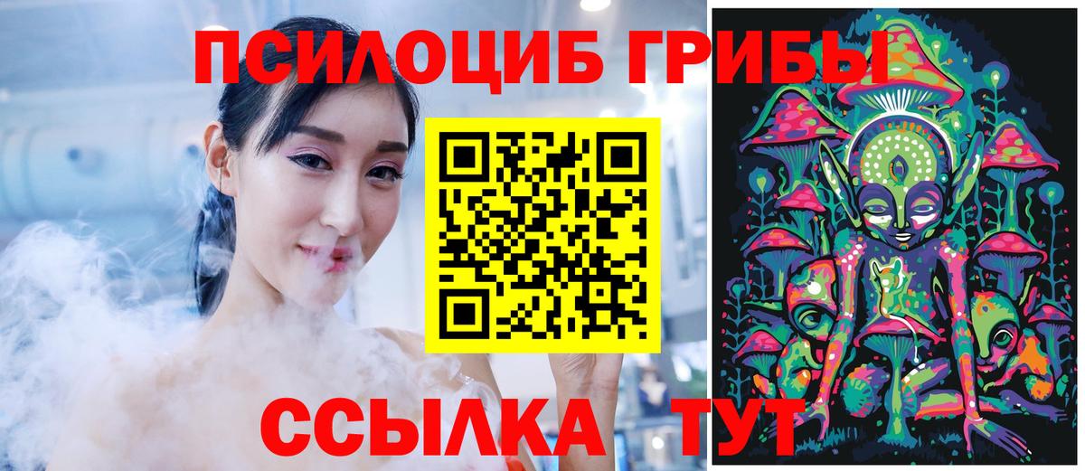Биробиджан  Псилоцибиновые грибы Psilocybine cubensis  где можно купить наркотик  Вход с VPN 